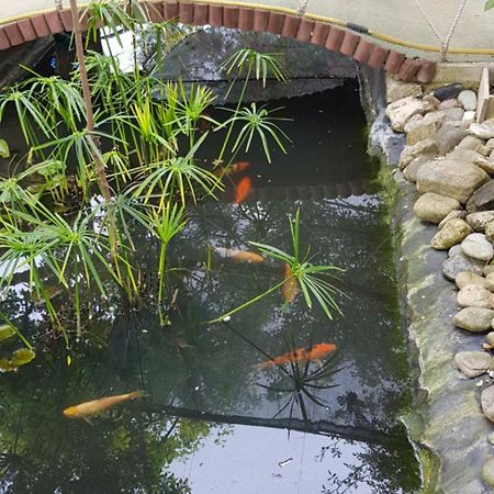 Akmonya Pansiyon Eriklice Bagian luar foto